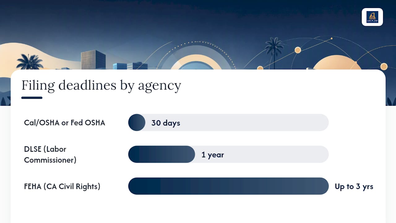Where to File Your Complaint and What Deadlines Apply — overview diagram